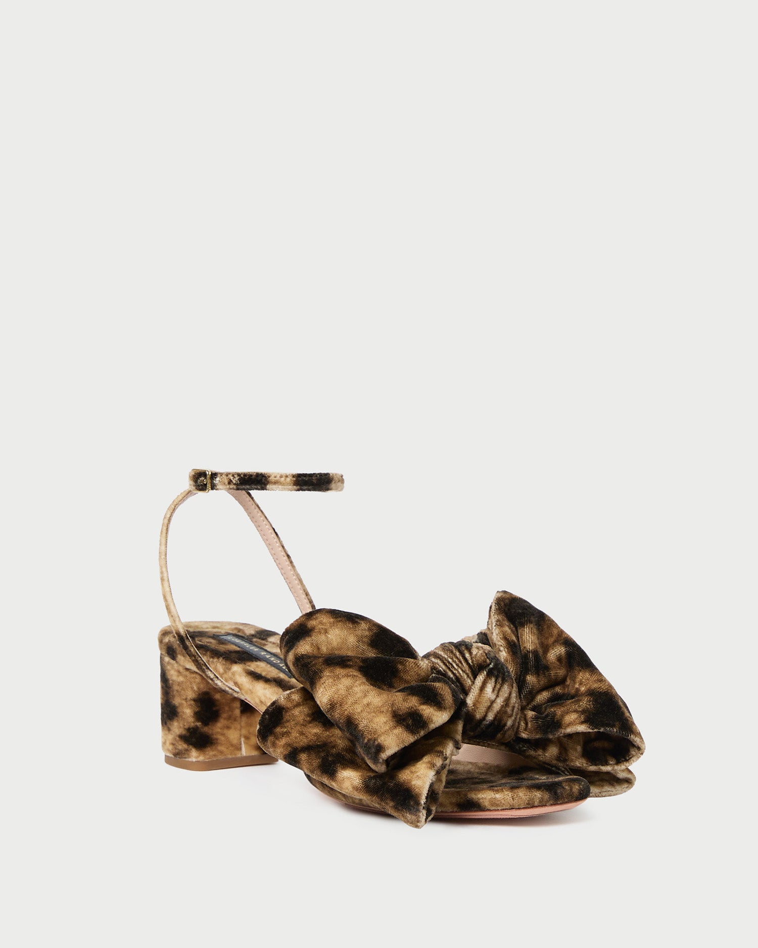 Leopard / 8
